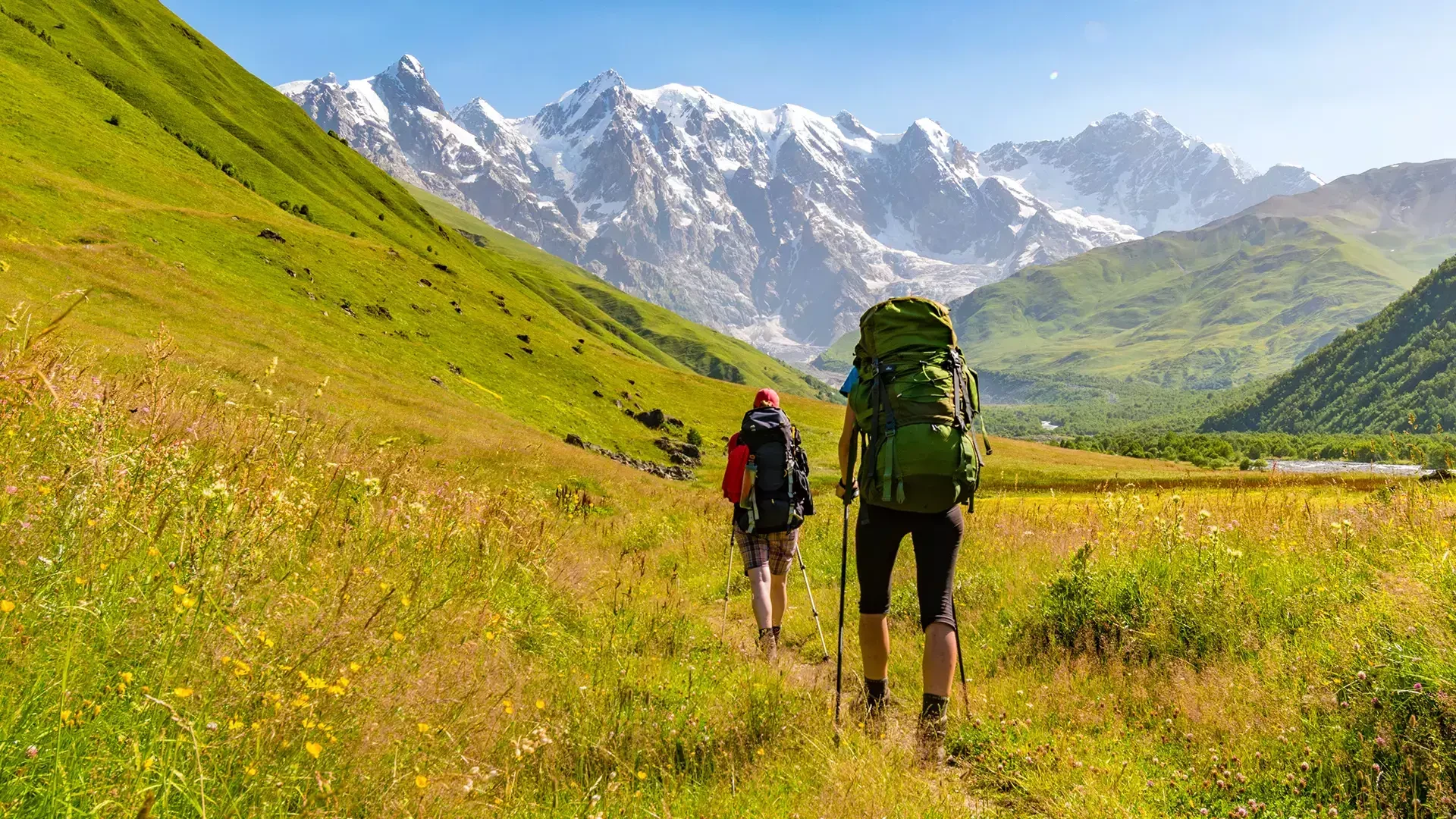 Trekking Tours